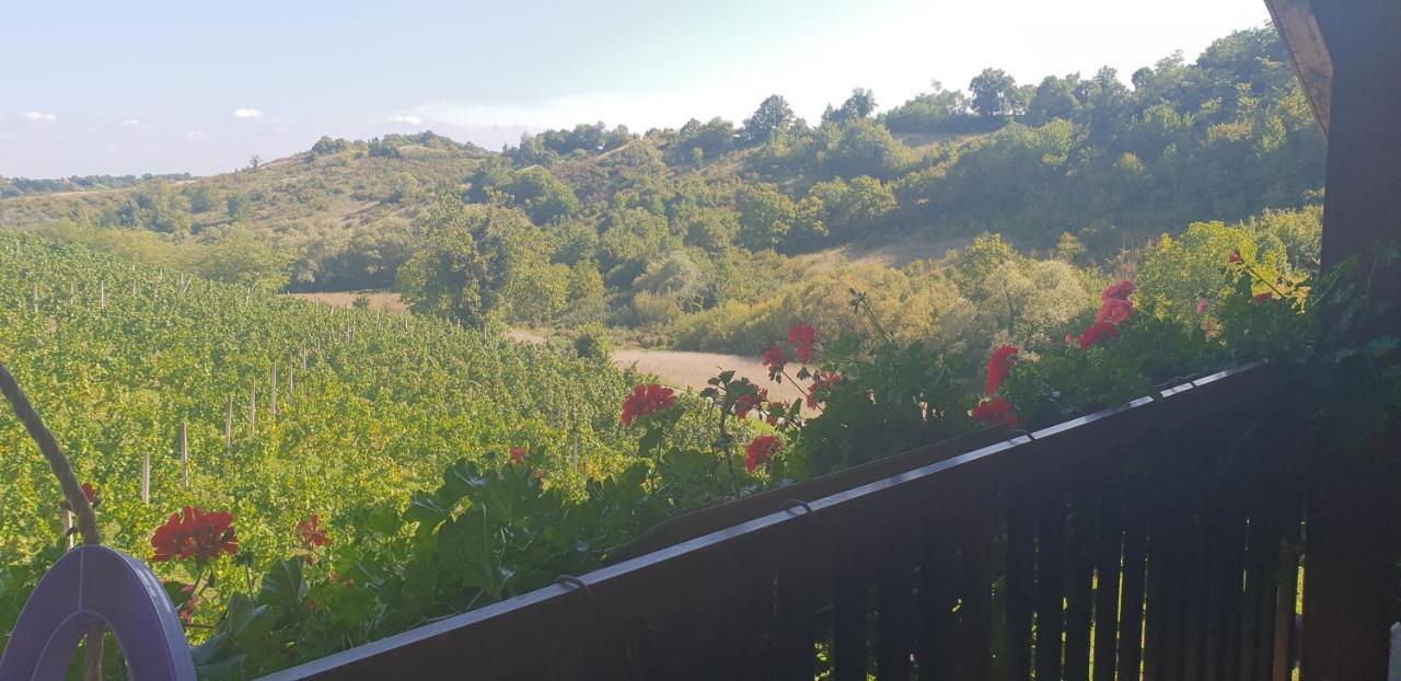 Klet Jana Bed & Breakfast 자스트레바르스코 외부 사진